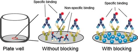 Practical Tips Of Elisa Creative Diagnostics