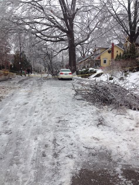 Storm Damage in Richmond Hill & Toronto - Sequoia TreeScape