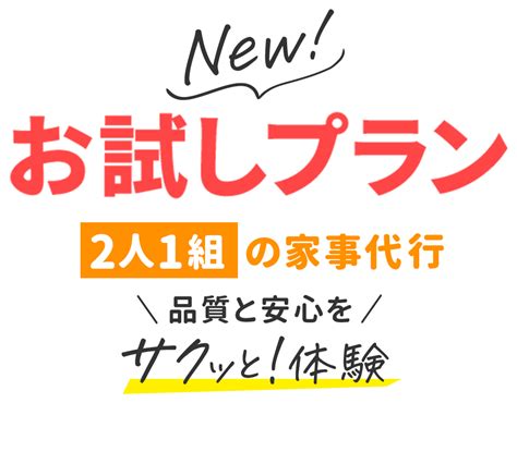 ニチイのフィリピン人スタッフによる家事代行サービス サニーメイドサービス