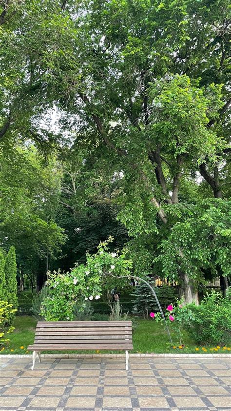 Волшебное место