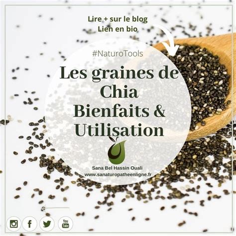 Bienfaits De La Graine De Chia Et Plus Encore Maigrir Graine De