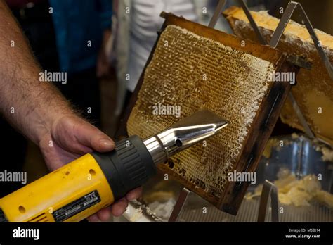 A Honeycomb Is Uncapped With A Hot Air Dryer Honeycomb Is Heated With A Blower To Melt The Wax