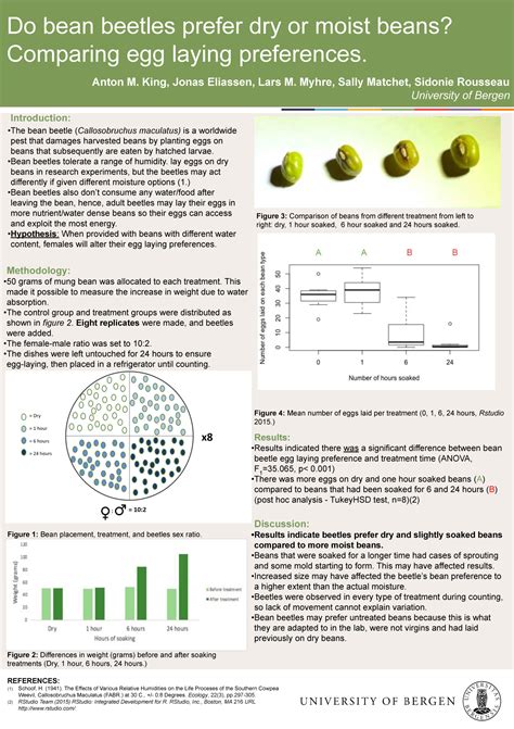 Do bean beetles prefer dry or moist beans? Comparing egg laying