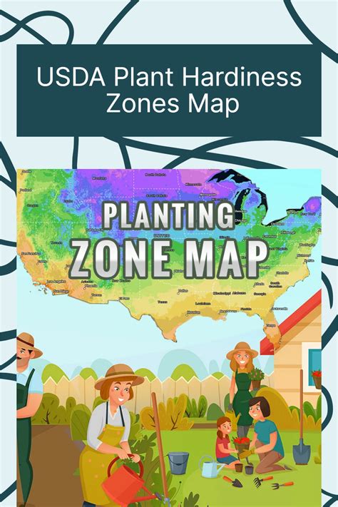 USDA Planting Zones Map | Plant hardiness zone map, Planting zones map, Plant hardiness zone