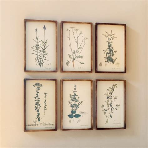 Collected Botanical Framed Prints Set Of 6 In 2022 Framed Botanical