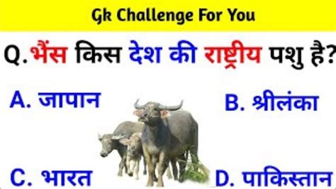 Gk Top 15 Questions General Knowledge Gk Fear भैंस किस देश का