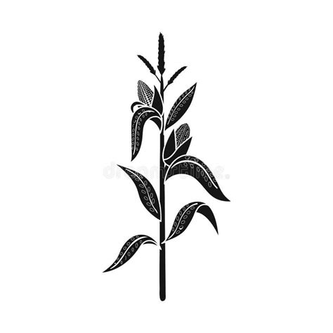 Corn Stalk Silhouette Svg