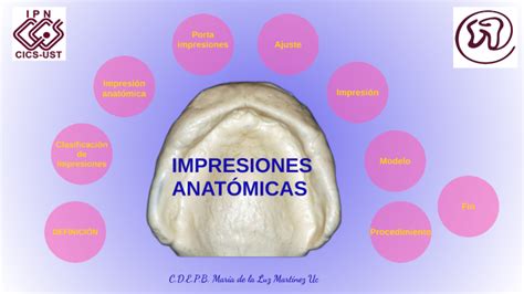 Impresiones anatómicas by Ma Luz Martinez on Prezi