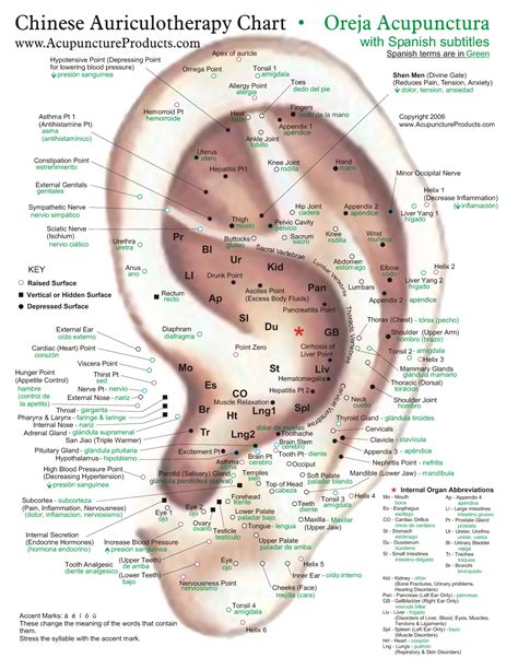 Acupressure Points Acupressure Treatment Reflexology Chart