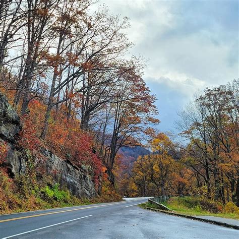 Discover The Must-Stop Points Of Interest On Newfound Gap Road Trip