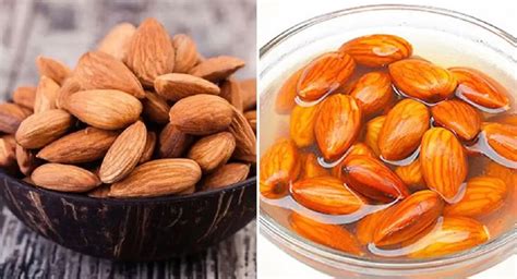 Side Effects Of Eating Too Much Almonds Know The Details Health News