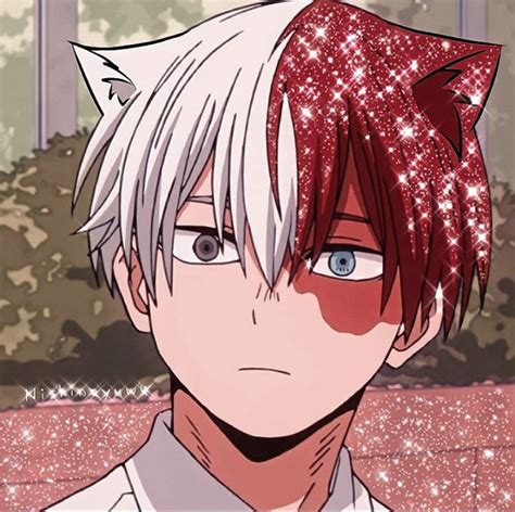 Todoroki Aesthetic Anime Anime Icons Cute Anime Guys Images And Photos Finder