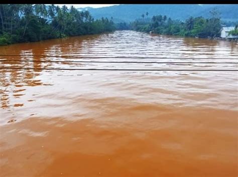 Temuan Sementara Tim Investigasi Pencemaran Sungai Sagea Bukan