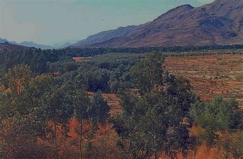 Tanda Dam Wildlife Park - Kohat, Pakistan - February 2002 | Flickr