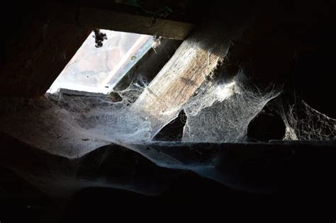 Old Cobwebs in Abandoned House. the Spider Net Under the Roof Stock Image - Image of grid, glue ...