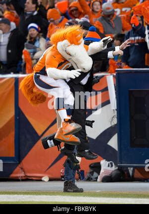 Denver Broncos Mascot Miles Against The Green Bay Packers Of An Nfl