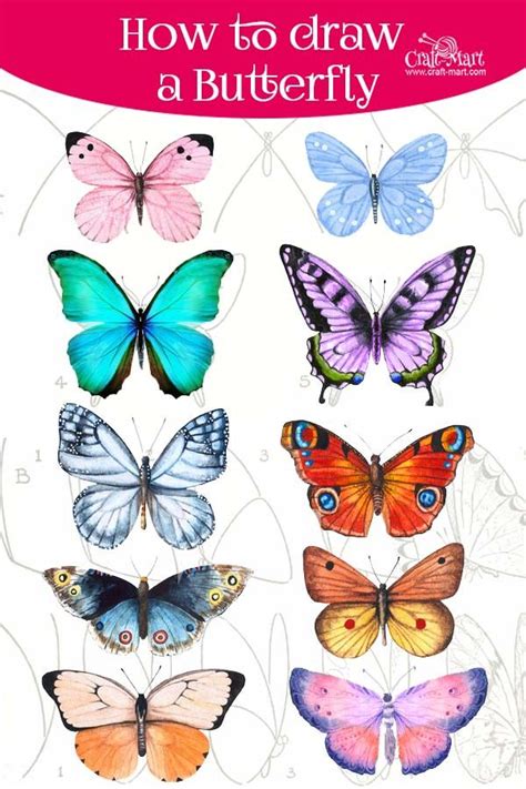 How To Draw A Butterfly Step By Step Easy And Fast Artofit