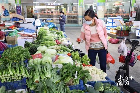 防疫经营两不误，望牛墩“菜篮子”供应充足价格稳市民菜市场工作