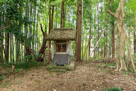 高玉城｜白鷹町｜伊達な置賜四十八館｜置賜城館名鑑