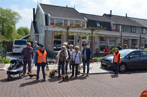 Teckeldag 2023 Waarom Je Daar Naartoe Moet Gaan Ook Als Je Geen