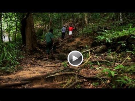 Trekking to Meenmutty Waterfalls, Thiruvananthapuram, Kerala, India, Video