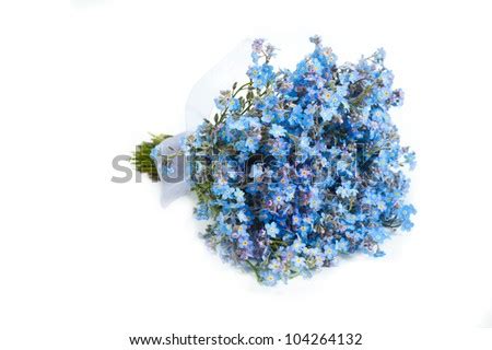 Bouquet Of Forget-Me-Not Flowers Stock Photo 104264132 : Shutterstock