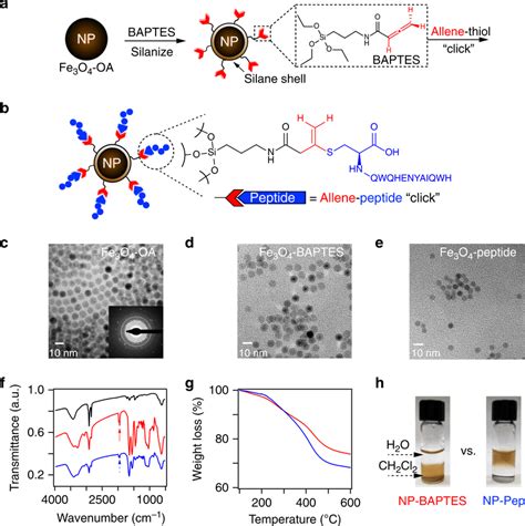 Design And Characterization Of Surface Functionalized Nanoparticles Download Scientific Diagram