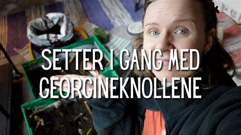 Setter I Gang Med Georgineknollene Enkel Metode YouTube