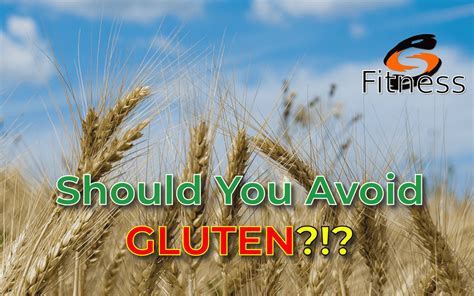 What Are Lectins And Why Should You Avoid Them All Including Gluten Scaling Fitness