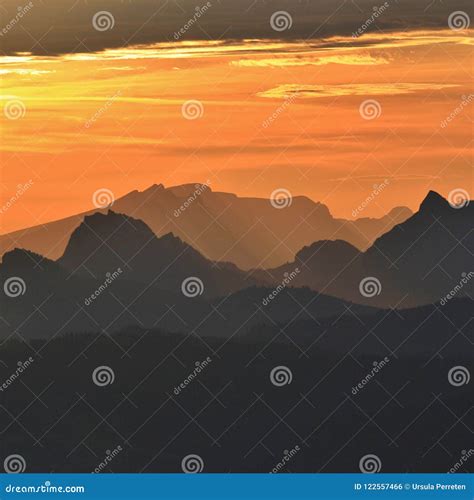 Golden Sunrise in the Swiss Alps. View from Mount Rigi. Stock Photo ...