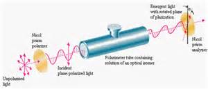 Chirality And Optical Activity