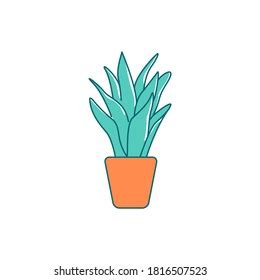 Sansevieria Sign House Plant Flowers Pot Stock Vector Royalty Free