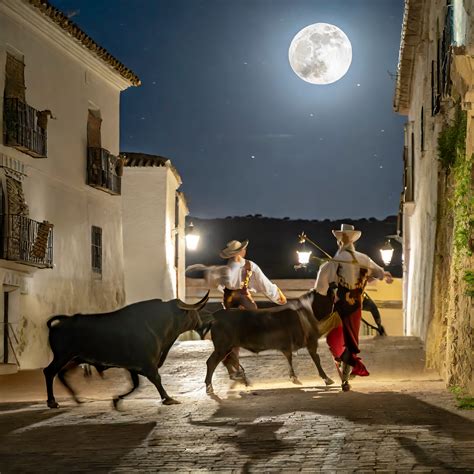 El origen de la expersión llevar una «Pea» y su vínculo con los toros