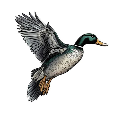 Duck Flying Done In Woodcut Style Duck Mallard Bird Png Transparent