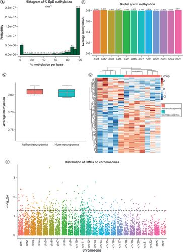 Full Article Genome Wide Methylation Analyses Of Human Sperm Unravel