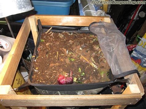 Worm Inn Journal Red Worm Composting