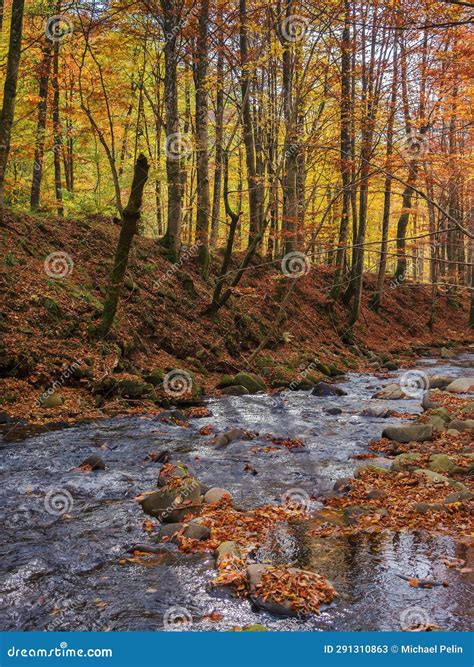 Nature Scenery with Narrow River in Autumn Forest Stock Image - Image ...