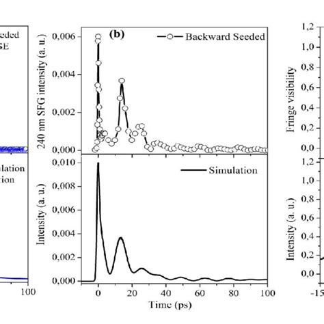 Experiment Upper Panel And Simulation Lower Panel Results Of