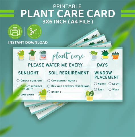 Printable Plant Care Instructions