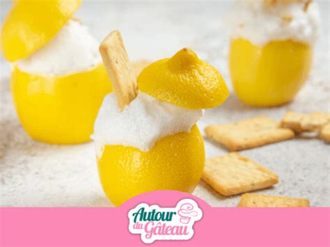 Recettes De Sorbets De Blog Autour Du G Teau