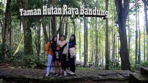 Tracking Di Taman Hutan Raya Bandung Goa Jepang Goa Belanda Dan