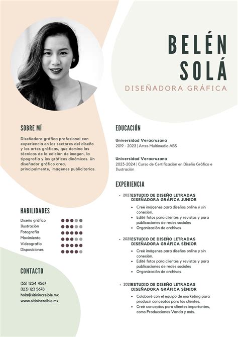 Como Crear Tu Propio Cv Con Canva Disenos De Curriculum Vitae Images