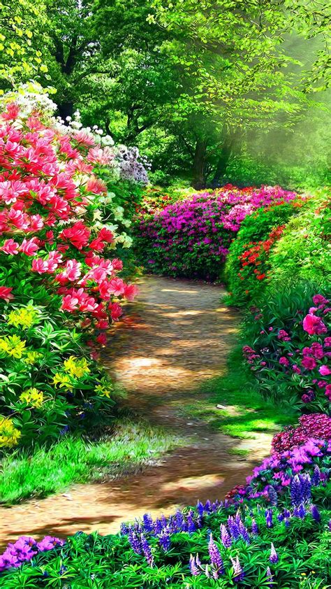 beautiful flower garden wallpaper   space