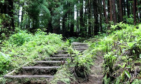 Top 10 Hiking Trails in São Miguel Island, Azores