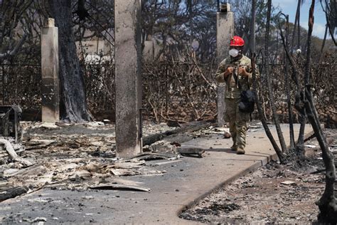 Incêndios no Havaí brasileiro que perdeu casa teve poucos minutos para