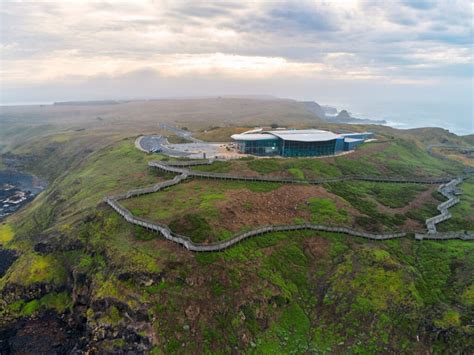 ultimate guide  phillip island     escape  australia