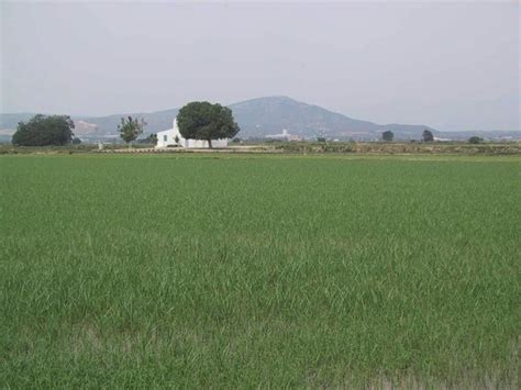 El Ministerio De Agricultura Convoca Los Premios De Excelencia A La