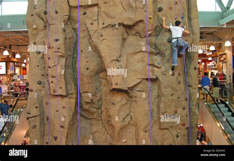 Indoor Mountain Climbing Inside Sporting Goods Store At The Roosevelt