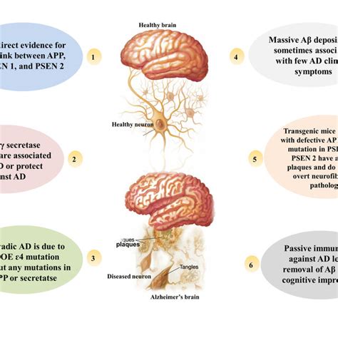 Schematic Representation Of The Pathology Of Alzheimer S Disease Download Scientific Diagram