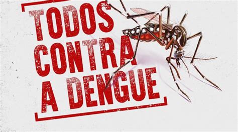 Casos De Dengue Voltam A Subir Em Descalvado Riscos De Epidemia Para